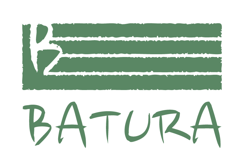 Batura cycle